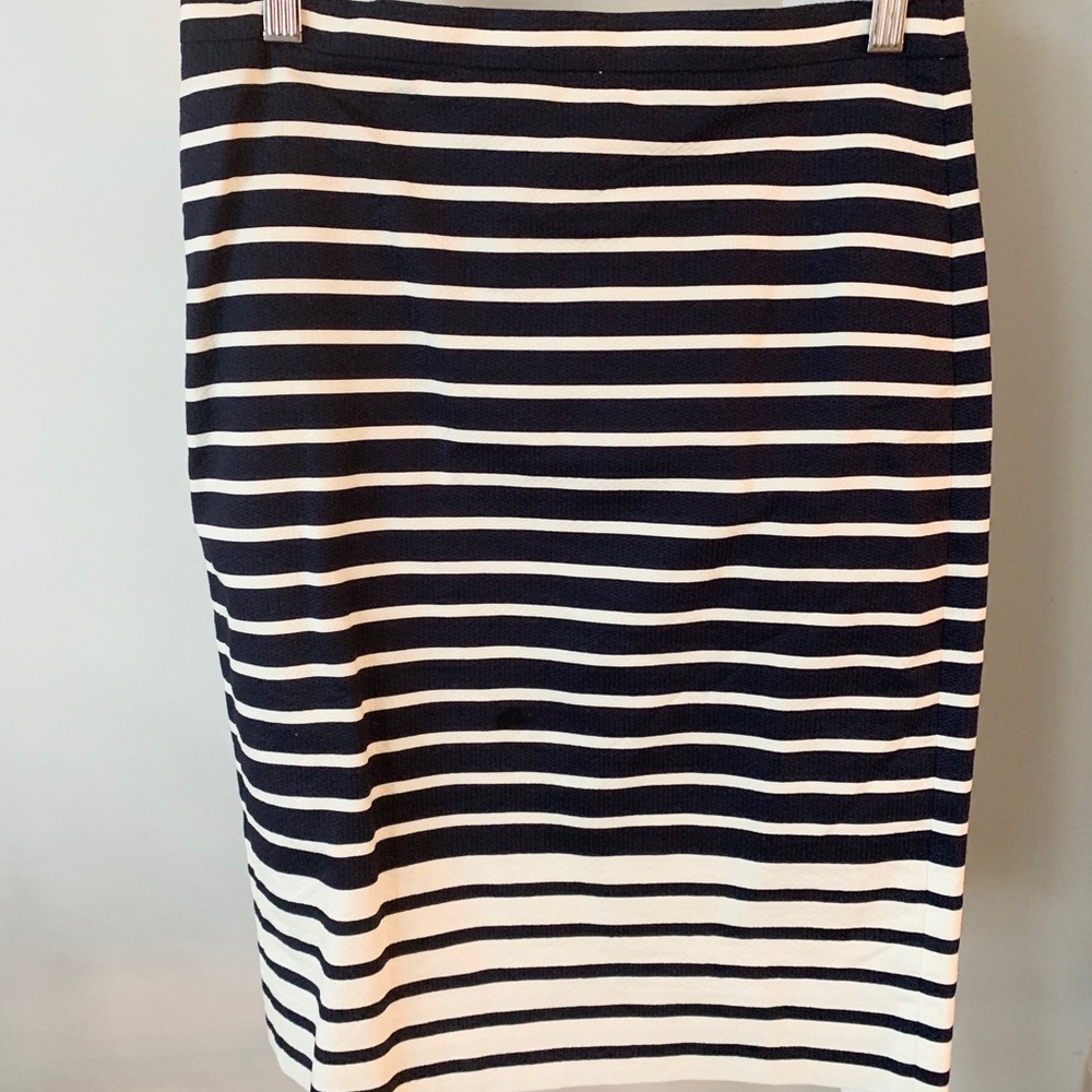 Jcrew Skirt